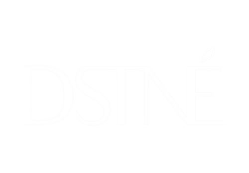 Destinée Clothing